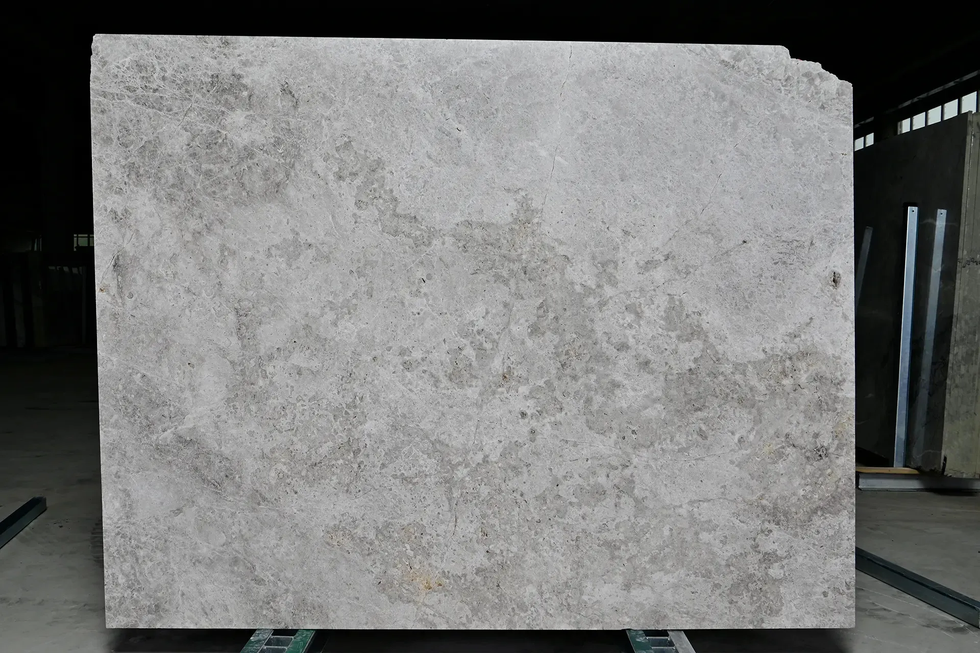 TUNDRA LIGHT